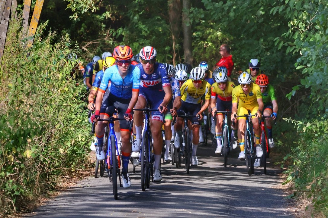 A group of cyclists racing along a tree-lined road